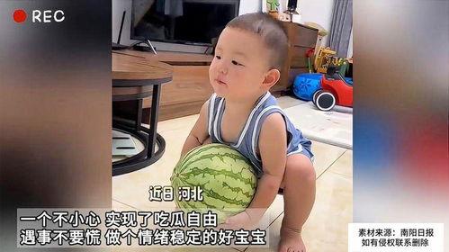 娱乐吃瓜酱情绪稳定,情绪稳定，带你领略娱乐圈风云变幻